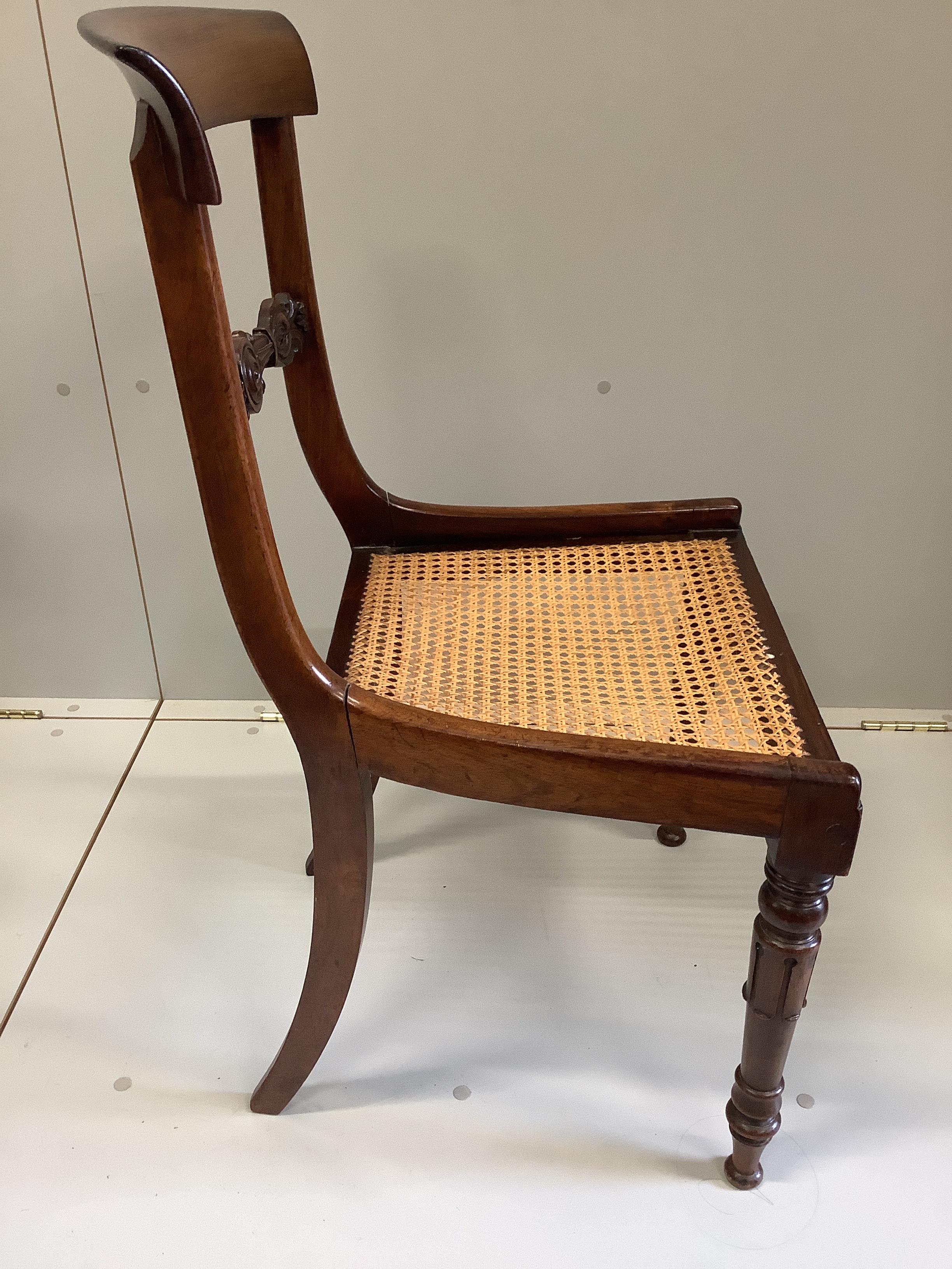 A set of six William IV rosewood cane seat dining chairs, with squab cushion seats, width 44cm, height 87cm